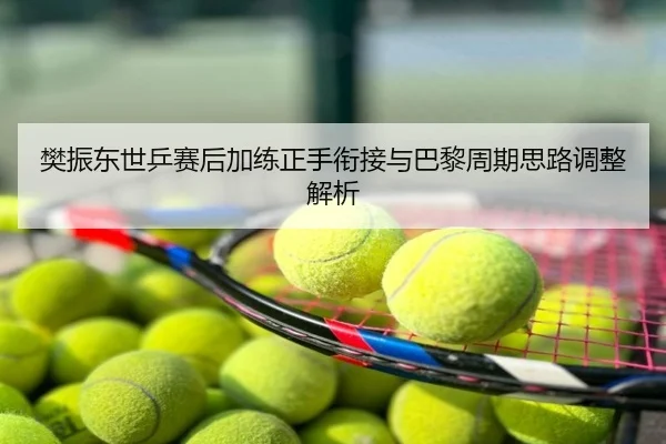 樊振东世乒赛后加练正手衔接与巴黎周期思路调整解析