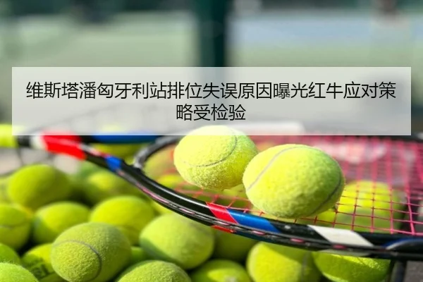 维斯塔潘匈牙利站排位失误原因曝光红牛应对策略受检验
