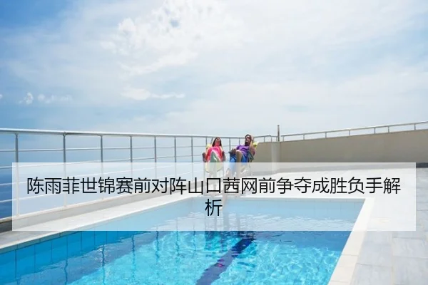 陈雨菲世锦赛前对阵山口茜网前争夺成胜负手解析